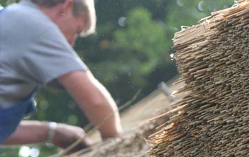 professional Marazanvose thatchers