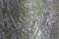 Marazanvose fibreglass roof work